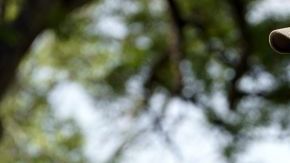 A police officer stands guard outside Robb Elementary School in the town of Uvalde, Texas, the United States, May 27, 2022. At least 19 children and two adults were killed in a shooting at Robb Elementary School in the town of Uvalde, Texas, on Tuesday. (Photo by Wu Xiaoling/Xinhua via Getty Images)