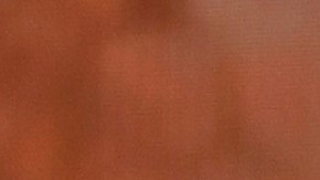 Bad Bunny_Dominican Republic