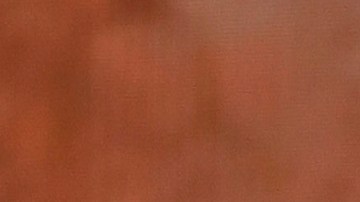 Bad Bunny_Dominican Republic