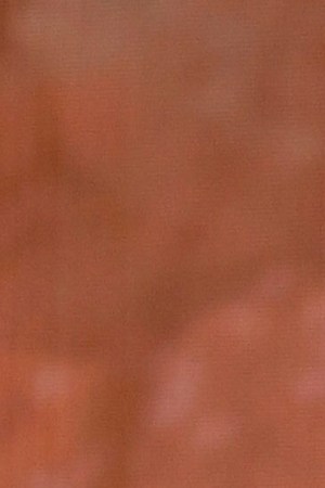 Bad Bunny_Dominican Republic