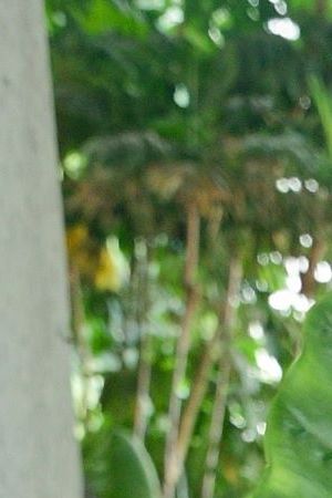 MEXICO CITY, MEXICO - SEPTEMBER 12: Astronaut Katya Echazarreta poses for a photo during the press conference as part of the Mexico Manda campaign at Casa del Lago on September 12, 2022 in Mexico City, Mexico. (Photo by Jaime Nogales/Medios y Media/Getty Images)