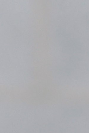 LOS ANGELES, CA - NOVEMBER 20: California State Senate president pro tempore Kevin de Leon speaks at a press conference held by Social Compassion In Legislation to denounce President Trump's plan to reverse endangered species protections on November 20, 2017 in Los Angeles, California. (Photo by Michael Tullberg/Getty Images)