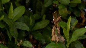 UNSPECIFIED: In this image released on April 22, host Melissa Villaseñor behind the scenes of the 2021 Film Independent Spirit Awards at Post 43 in Los Angeles, California. (Photo by Emma McIntyre/Getty Images for Film Independent)