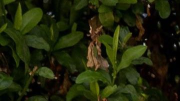 UNSPECIFIED: In this image released on April 22, host Melissa Villaseñor behind the scenes of the 2021 Film Independent Spirit Awards at Post 43 in Los Angeles, California. (Photo by Emma McIntyre/Getty Images for Film Independent)