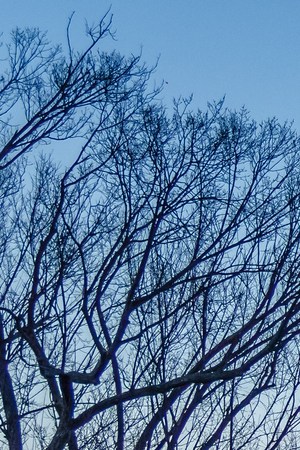 National Gallery of Art West Building at sunset - Washington, D.C., USA