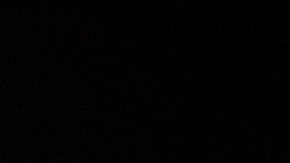 NEW YORK, NEW YORK - OCTOBER 10: Oscar Isaac attends the Sr. New York Film Festival Premiere Screening on October 10, 2022 in New York City. (Photo by Monica Schipper/Getty Images for Netflix)