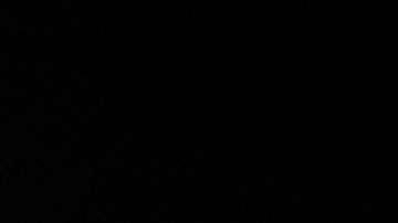 NEW YORK, NEW YORK - OCTOBER 10: Oscar Isaac attends the Sr. New York Film Festival Premiere Screening on October 10, 2022 in New York City. (Photo by Monica Schipper/Getty Images for Netflix)