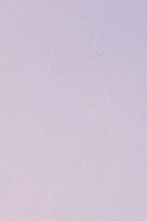 Kenia Os "Flores"_Danna