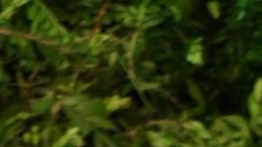 LONDON, ENGLAND - JUNE 09: Rachel Zegler attends the Tiffany & Co. "Vision & Virtuosity" Brand Exhibition Opening Gala at Saatchi Gallery on June 09, 2022 in London, England. (Photo by Karwai Tang/Getty Images)