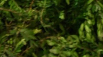 LONDON, ENGLAND - JUNE 09: Rachel Zegler attends the Tiffany & Co. "Vision & Virtuosity" Brand Exhibition Opening Gala at Saatchi Gallery on June 09, 2022 in London, England. (Photo by Karwai Tang/Getty Images)