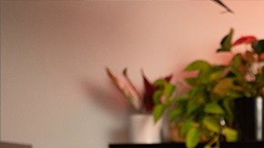 Chef Lyana Blount for RITZ Crackers' Savory Roots