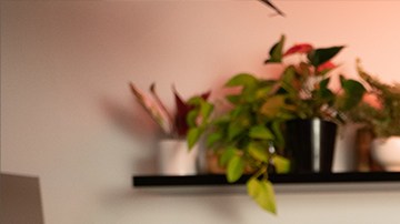 Chef Lyana Blount for RITZ Crackers' Savory Roots