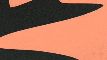 Viva La Bonita clothing brand