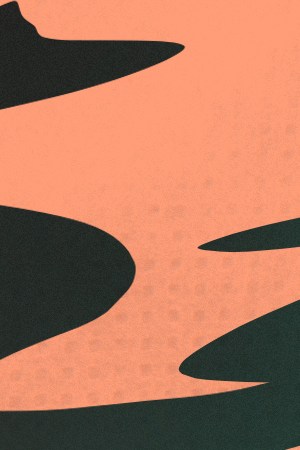 Viva La Bonita clothing brand