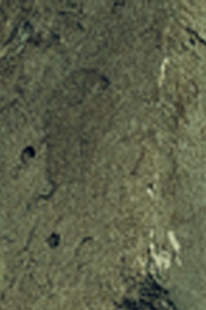 wisin y yandel_"Vapor"