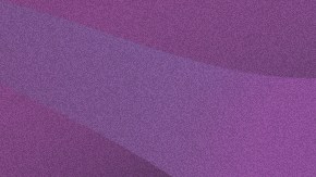 Art by Stephany Torres for Remezcla