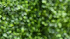 SANTA MONICA, CA - JUNE 16: Actor Aubrey Plaza attends the 2018 MTV Movie And TV Awards at Barker Hangar on June 16, 2018 in Santa Monica, California. (Photo by Emma McIntyre/Getty Images for MTV)