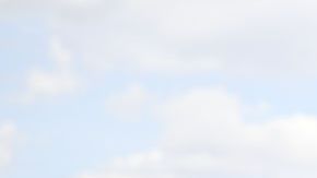 BRASILIA, BRAZIL - NOV 01 - Supporters of Brazil's President Jair Bolsonaro react, as they block highway BR-251 during a protest against President-elect Luiz Inacio Lula da Silva who won a third term following the presidential election run-off, in Planaltina, Brazil, November 1, 2022. (Photo by Mateus Bonomi/Anadolu Agency via Getty Images)