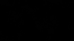 MALIBU, CALIFORNIA - JULY 27: Eva Longoria and Gabrielle Union attend the HollyRod Foundation's 21st Annual DesignCare Gala on July 27, 2019 in Malibu, California. (Photo by Vivien Killilea/Getty Images for HollyRod Foundation )