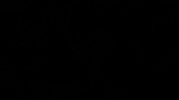 MALIBU, CALIFORNIA - JULY 27: Eva Longoria and Gabrielle Union attend the HollyRod Foundation's 21st Annual DesignCare Gala on July 27, 2019 in Malibu, California. (Photo by Vivien Killilea/Getty Images for HollyRod Foundation )