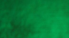 LAS VEGAS, NEVADA - OCTOBER 11:  Former UFC heavyweight champion Cain Velasquez speaks at a WWE news conference at T-Mobile Arena on October 11, 2019 in Las Vegas, Nevada. Velasquez will face WWE champion Brock Lesnar and WWE wrestler Braun Strowman will take on heavyweight boxer Tyson Fury at the WWE's Crown Jewel event at Fahd International Stadium in Riyadh, Saudi Arabia on October 31.  (Photo by Ethan Miller/Getty Images)