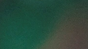 Guillermo Ochoa aka Memo Ochoa, goalkeeper of Mexico, reacts during the Group C match between Mexico and Poland of the 2022 FIFA World Cup at Ras Abu Aboud 974 Stadium in Doha, Qatar, Nov. 22, 2022. (Photo by Li Gang/Xinhua via Getty Images)