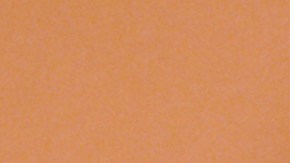 LOS ANGELES - 1983 actress/ singer Irene Cara poses for a portrait in Los Angeles, California. (Photo by Harry Langdon/Getty Images)