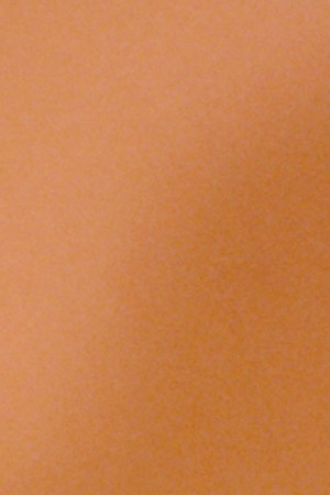 LOS ANGELES - 1983 actress/ singer Irene Cara poses for a portrait in Los Angeles, California. (Photo by Harry Langdon/Getty Images)