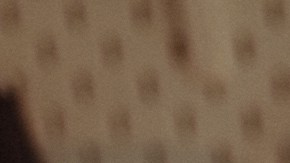 Photography by Celia D. Luna.