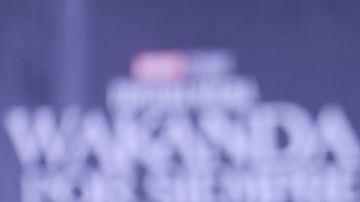 MEXICO CITY, MEXICO - NOVEMBER 09: Lupita Nyong’o speaks during the "Black Panther: Wakanda Forever" Red Carpet in Mexico City at Plaza Satelite on November 09, 2022 in Mexico City, Mexico. (Photo by Agustin Cuevas/Getty Images for Disney)