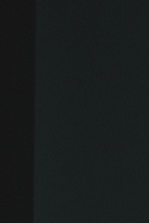 Juanes_"Amores Prohibidos"_“Veneno”