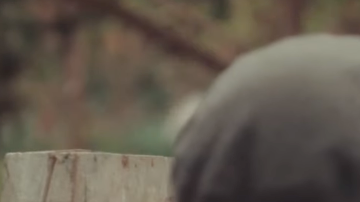 Claudio Arrendondo as Pablo Neruda in Ardiente Paciencia