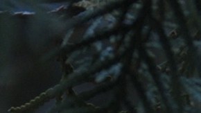 Wednesday. (L to R) Thing, Jenna Ortega as Wednesday Addams in episode 104 of Wednesday. Cr. Courtesy of Netflix © 2022