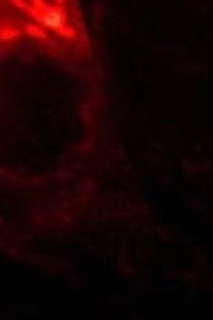 PABLLO VITTAR "Ameianoite" GLORIA GROOVE