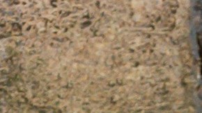 “NATIONAL TREASURE: EDGE OF HISTORY” CARPET PREMIERE EVENT - The cast and executive producers of “National Treasure: Edge of History” attends the red carpet world premiere at the El Capitan Theatre in Hollywood, Calif. on Monday, December 5. The series begins streaming exclusively on Disney+ Wednesday, December 14 with two episodes. (Disney/PictureGroup)
LISETTE OLIVERA