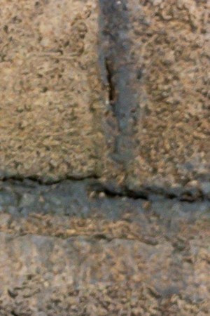 “NATIONAL TREASURE: EDGE OF HISTORY” CARPET PREMIERE EVENT - The cast and executive producers of “National Treasure: Edge of History” attends the red carpet world premiere at the El Capitan Theatre in Hollywood, Calif. on Monday, December 5. The series begins streaming exclusively on Disney+ Wednesday, December 14 with two episodes. (Disney/PictureGroup)
LISETTE OLIVERA