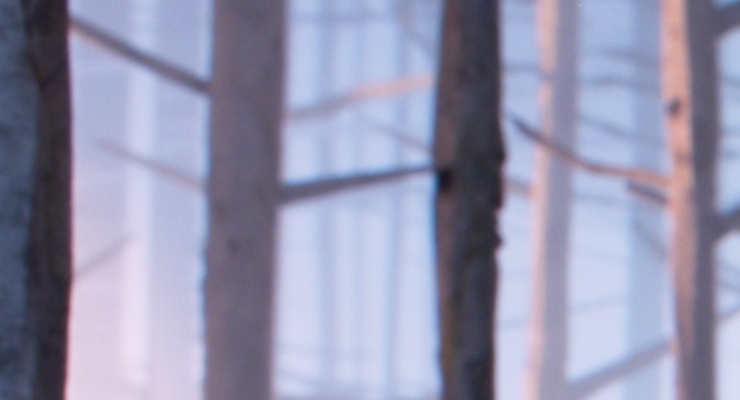 Guillermo del Toro's Pinocchio - (L-R) Pinocchio (voiced by Gregory Mann) and Gepetto (voiced by David Bradley). Cr: Netflix © 2022