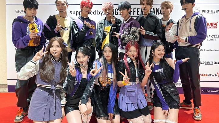 TFN_Lapillus_“WOW BB”