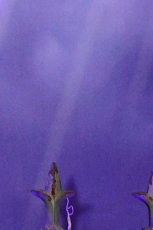 LOS ANGELES, CALIFORNIA - NOVEMBER 16: Catherine Zeta-Jones attends the world premiere of Netflix's "Wednesday" on November 16, 2022 in Los Angeles, California. (Photo by Presley Ann/Getty Images for Netflix)