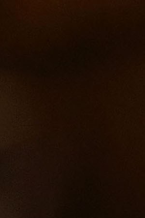 Charles Aznavour receives a Honorary Walk Of Fame Plaque by Senator Kevin De Leon at the Pantages Theatre on October 27, 2016 in Hollywood, California.