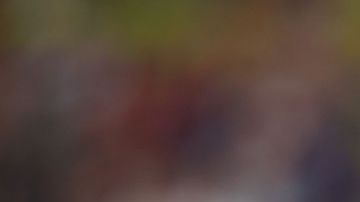 DOHA, QATAR - DECEMBER 05: Neymar of Brazil during the FIFA World Cup Qatar 2022 Round of 16 match between Brazil and South Korea at Stadium 974 on December 5, 2022 in Doha, Qatar. (Photo by Marc Atkins/Getty Images)