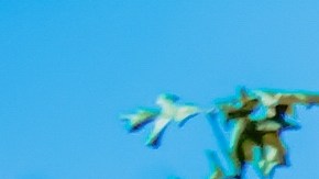 Photography by Manuel Frayre.