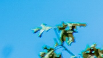 Photography by Manuel Frayre.