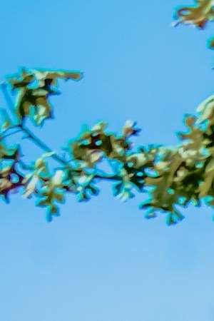 Photography by Manuel Frayre.