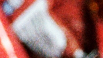 Photography by David Cabrera.