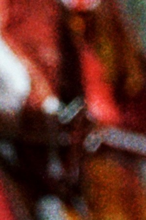 Photography by David Cabrera.