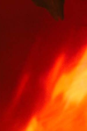 Bad Bunny _Recap_Coachella