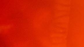 Bad Bunny_Gabriela Berlingeri_Preach_Ticketmaster_Performance