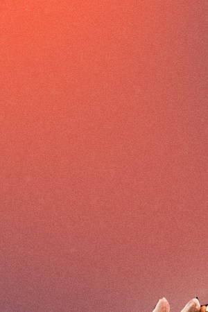 Art by Stephany Torres for Remezcla