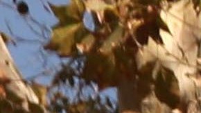LOS ANGELES, CA -  SEPTEMBER 30, 2022 - - Former semi-truck driver Paul Carrera, 65, stands next to his belongings in Lincoln Park in Lincoln Heights on September 30, 2022.  He has been living homeless since the start of the COVID-19 pandemic.  He and his wife lost their apartment before the pandemic and his wife passed away from COVID-19 in May of 2022 while the pair were living homeless. (Genaro Molina / Los Angeles Times)